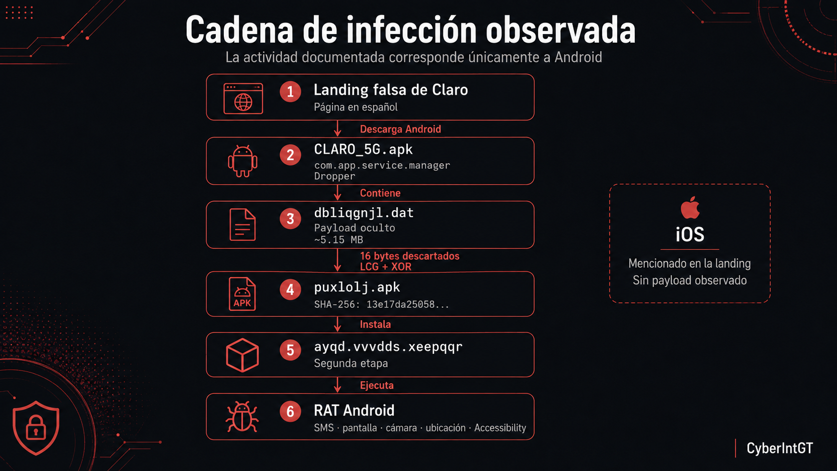 Cadena de infección observada